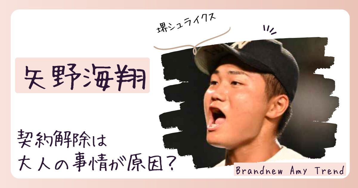 【何した】矢野海翔の退団理由は？契約解除は大人の事情が原因だった？